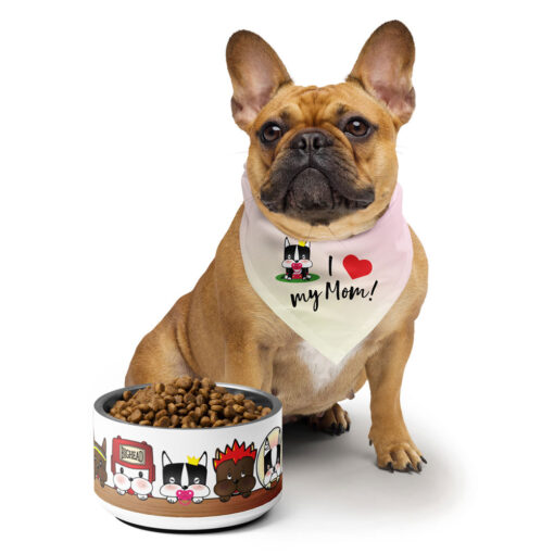 Frenchie pet bowl