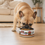 Pardon My Frenchie Pet Bowl
