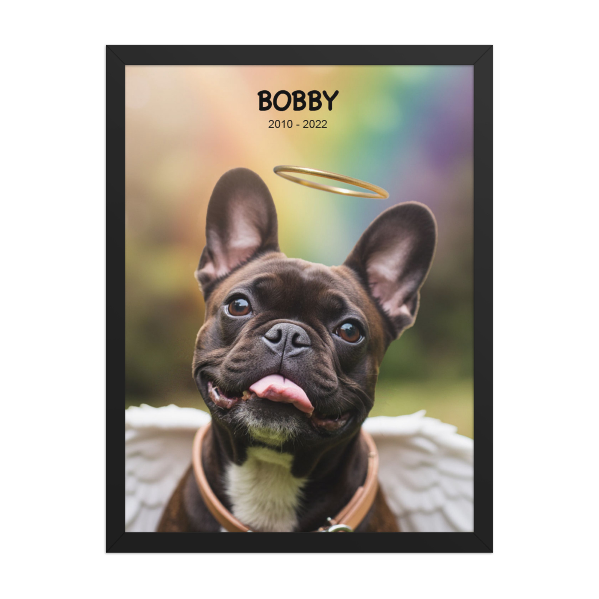 custom-pet-memorial-portrait-rainbow-park-black-framed