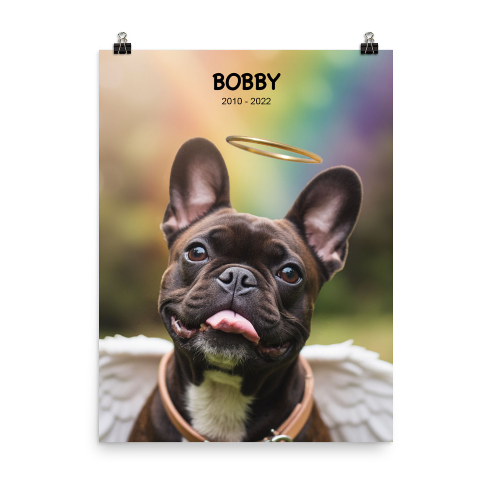 custom-pet-memorial-portrait-rainbow-park-poster
