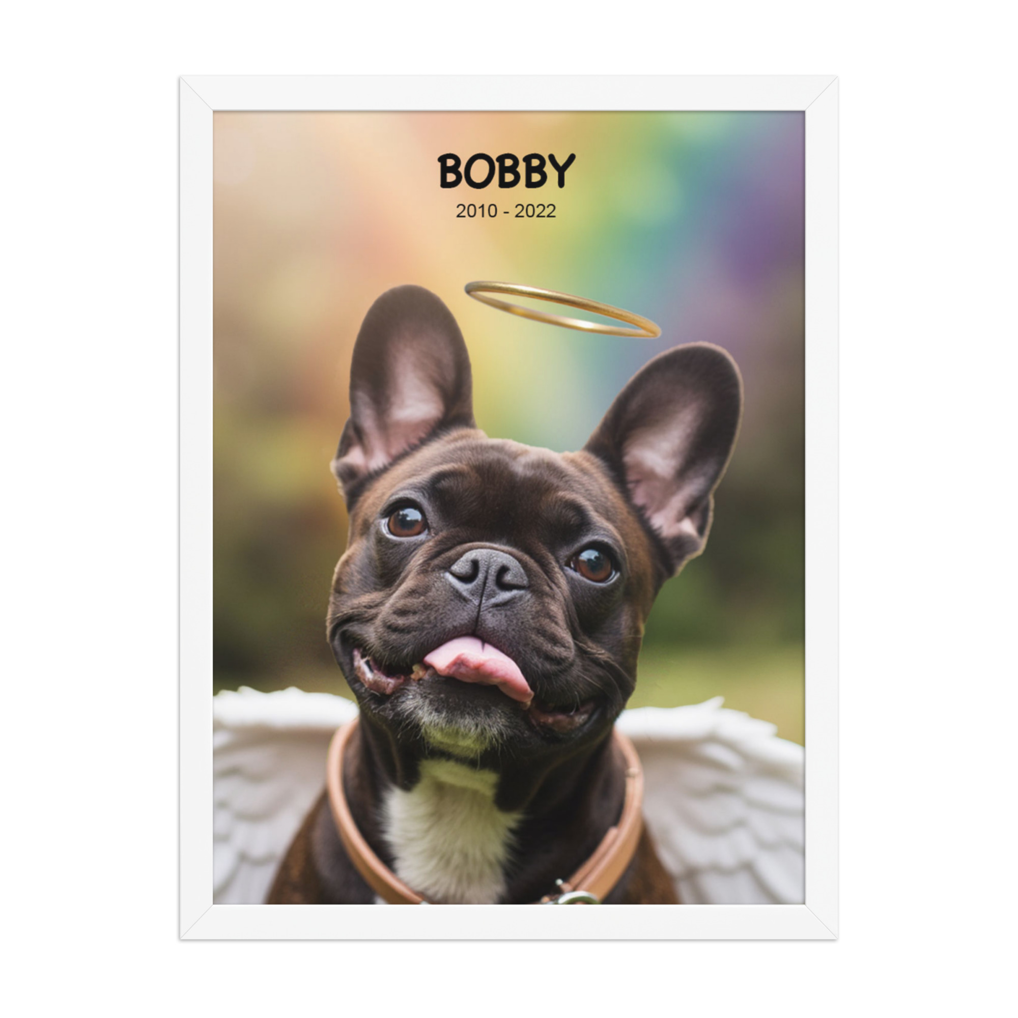 custom-pet-memorial-portrait-rainbow-park-white-framed