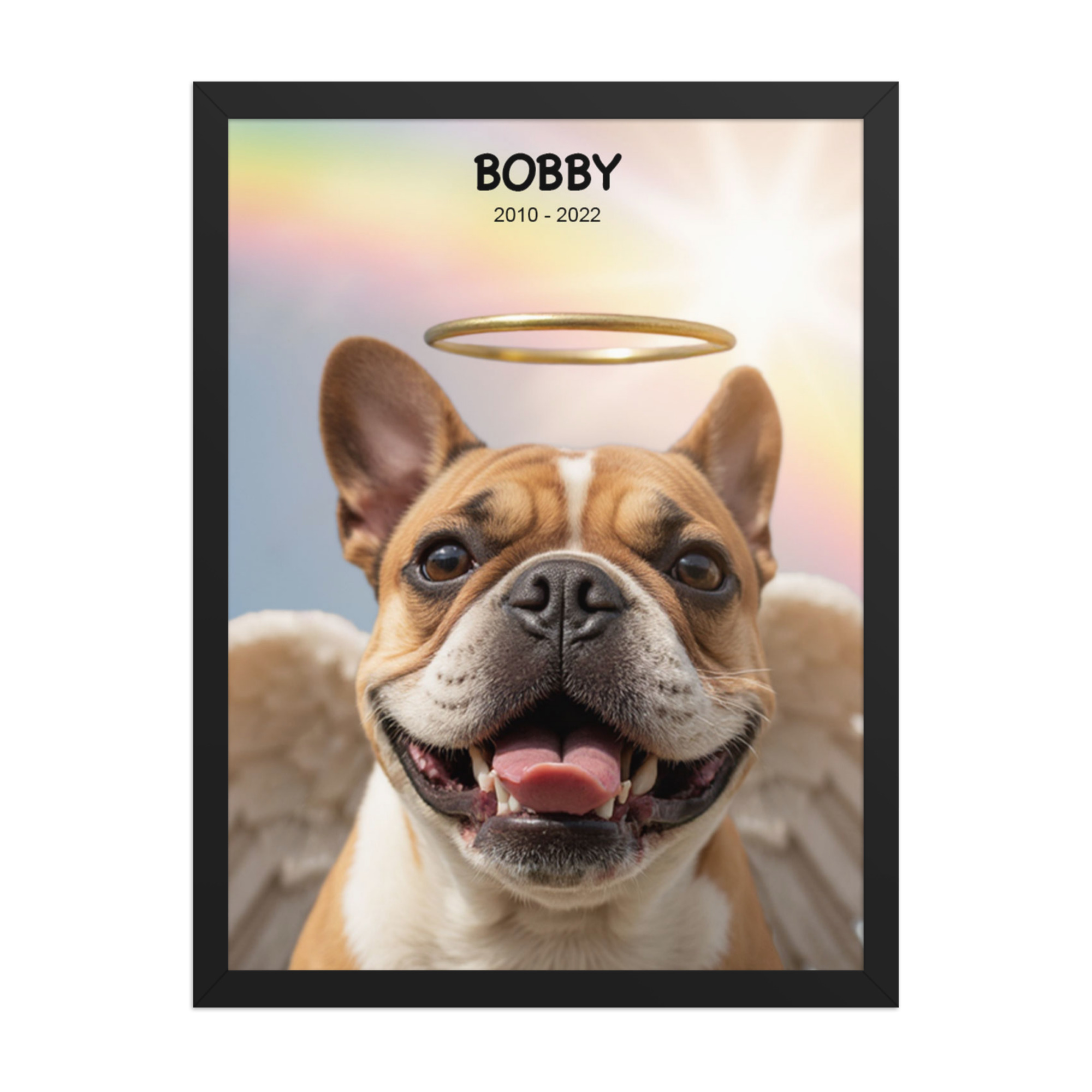 custom-pet-memorial-portrait-rainbow-sky-black-framed